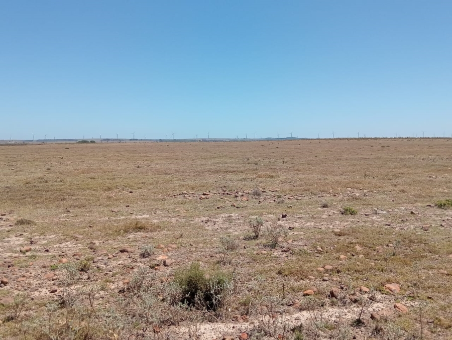 Commercial Property for Sale in Humansdorp Rural Eastern Cape